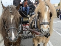 2016-01-31_299-Sant Antoni