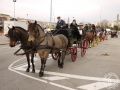 2016-01-31_308-Sant Antoni