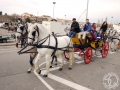 2016-01-31_311-Sant Antoni