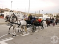 2016-01-31_314-Sant Antoni