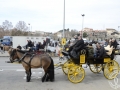 2016-01-31_315-Sant Antoni