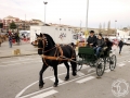 2016-01-31_319-Sant Antoni