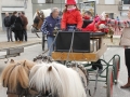 2016-01-31_347-Sant Antoni