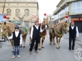 2016-01-31_411-Sant Antoni