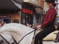 2016-01-31_476-Sant Antoni