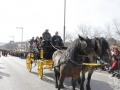 2016-01-31_507-Sant Antoni