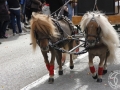 2016-01-31_542-Sant Antoni