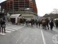 2016-01-31_572-Sant Antoni