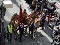 2016-01-31_627-Sant Antoni