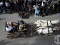 2016-01-31_656-Sant Antoni