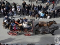 2016-01-31_659-Sant Antoni