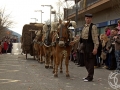 2016-01-31_618-Sant Antoni