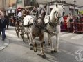 2016-01-31_706-Sant Antoni