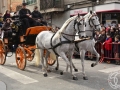 2016-01-31_718-Sant Antoni