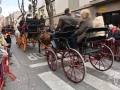 2016-01-31_720-Sant Antoni