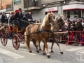 2016-01-31_725-Sant Antoni