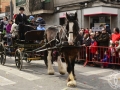 2016-01-31_737-Sant Antoni