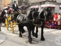 2016-01-31_739-Sant Antoni