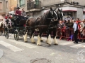 2016-01-31_740-Sant Antoni