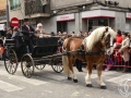 2016-01-31_741-Sant Antoni