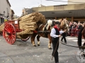 2016-01-31_756-Sant Antoni