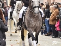 2016-01-31_783-Sant Antoni