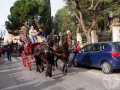 2016-01-31_823-Sant Antoni