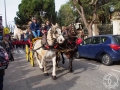 2016-01-31_824-Sant Antoni