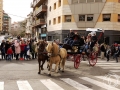 2016-01-31_873-Sant Antoni