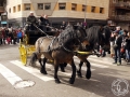 2016-01-31_879-Sant Antoni