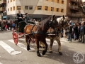 2016-01-31_881-Sant Antoni