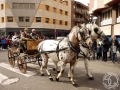 2016-01-31_882-Sant Antoni