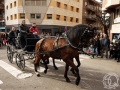 2016-01-31_883-Sant Antoni