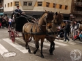2016-01-31_890-Sant Antoni