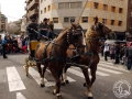 2016-01-31_892-Sant Antoni