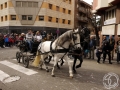 2016-01-31_898-Sant Antoni