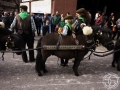 2016-01-31_950-Sant Antoni