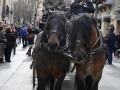 2016-01-31_1031-Sant Antoni