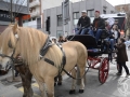 2016-01-31_1033-Sant Antoni