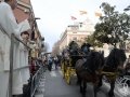 2016-01-31_1079-Sant Antoni