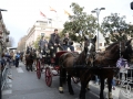 2016-01-31_1088-Sant Antoni
