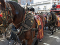 26.04.02a-Rua_13