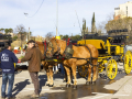 26.03-Montatge_11