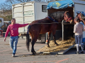 26.03-Montatge_25