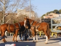 28.02.1 montatge escardivol (8)