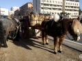 28.02.2 montatge les torres (7)