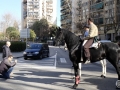 28.03.00 pre rua les torres (5)