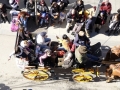 28.04.3 rua mir (10)