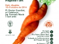 Cartell 20a Fira (2014)