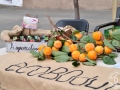 2015-10-17_039-Sant Galderic